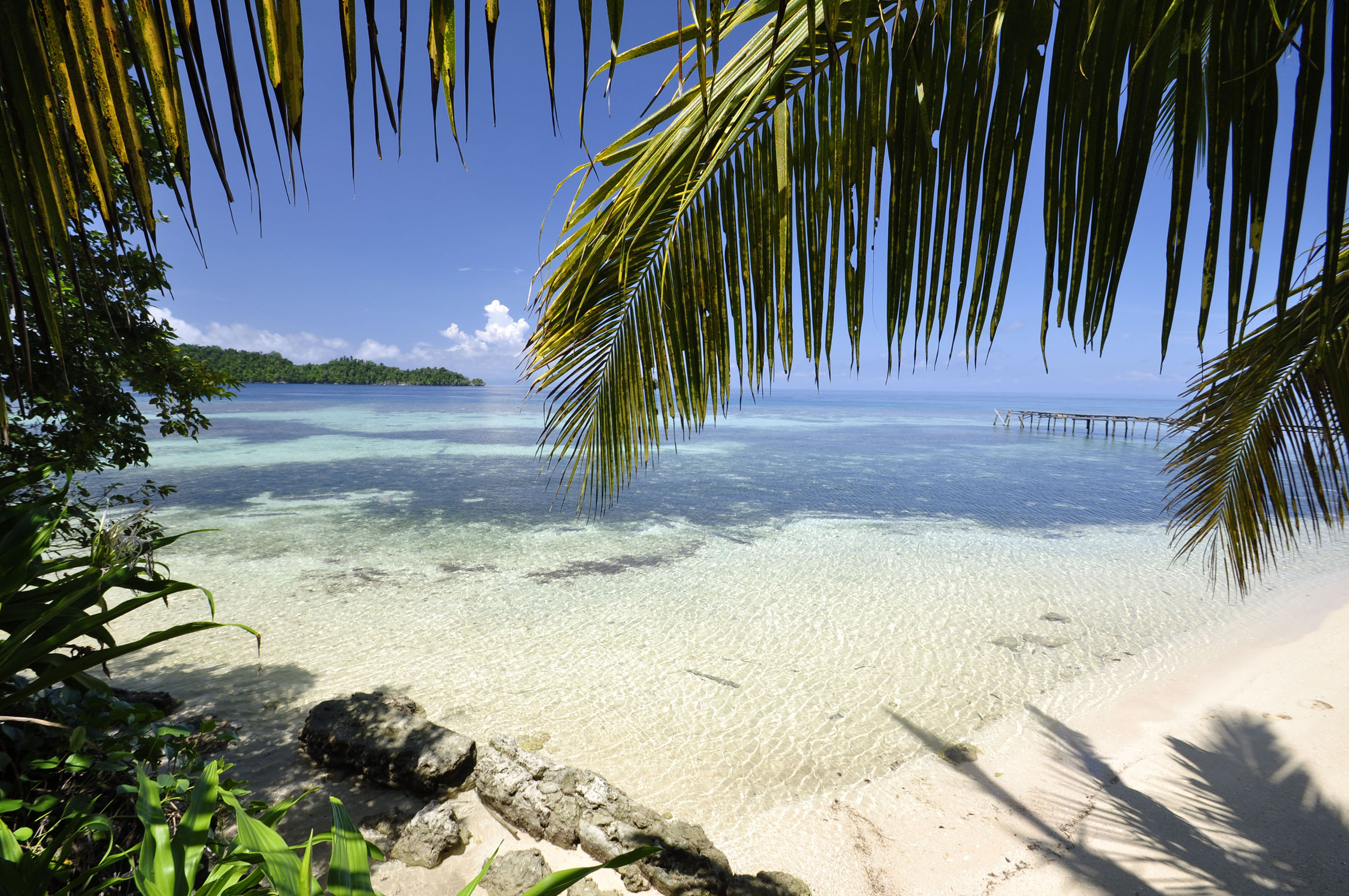 Palmenstrand in Indonesien